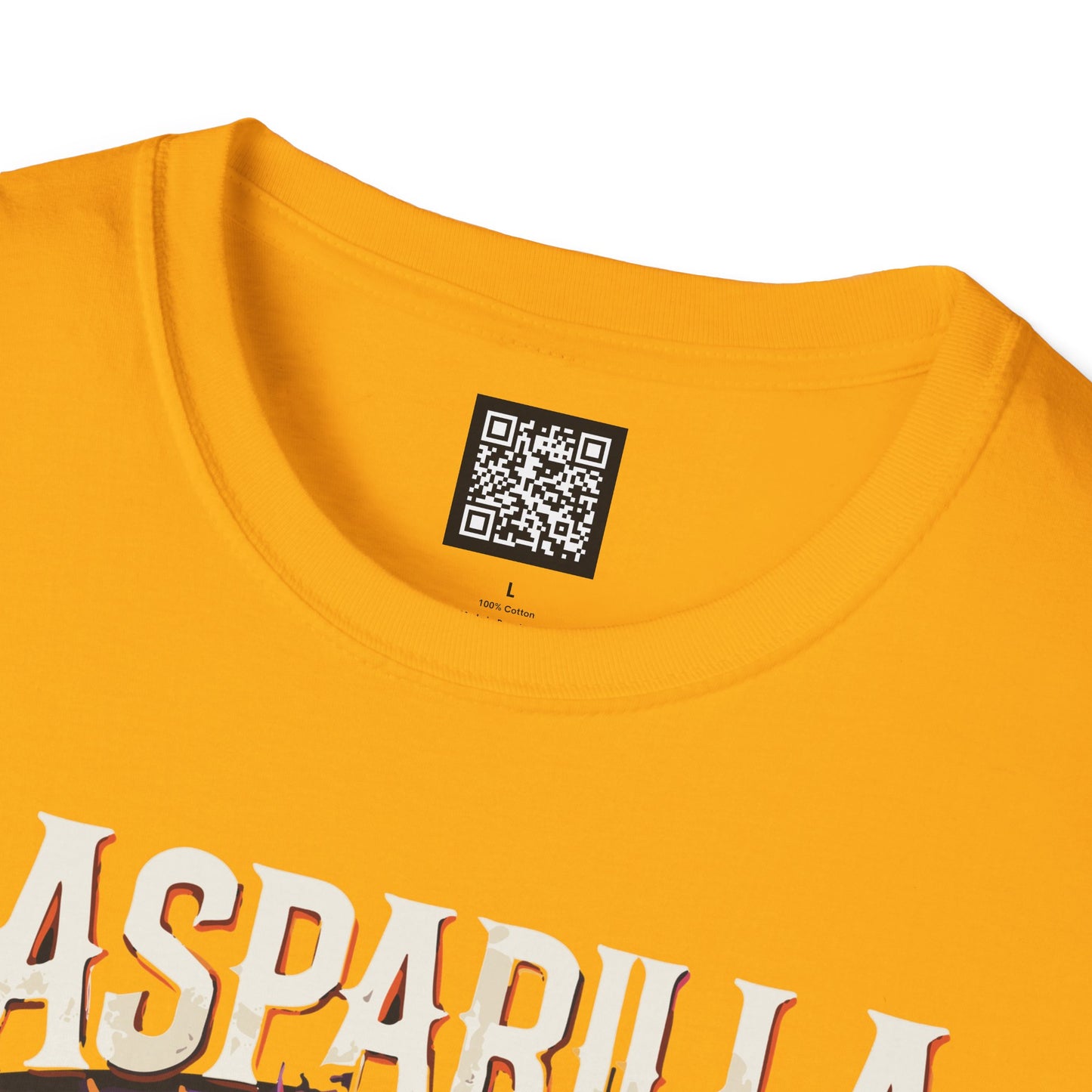 Limited Edition Gasparilla Pirate Ship 2026 T-Shirt